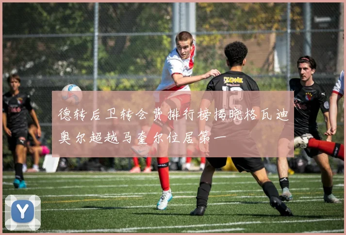 德转后卫转会费排行榜揭晓格瓦迪奥尔超越马奎尔位居第一
