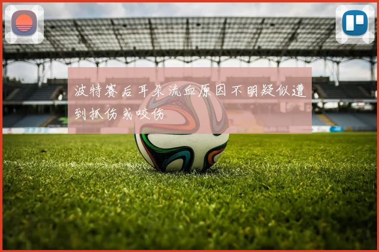 波特赛后耳朵流血原因不明疑似遭到抓伤或咬伤